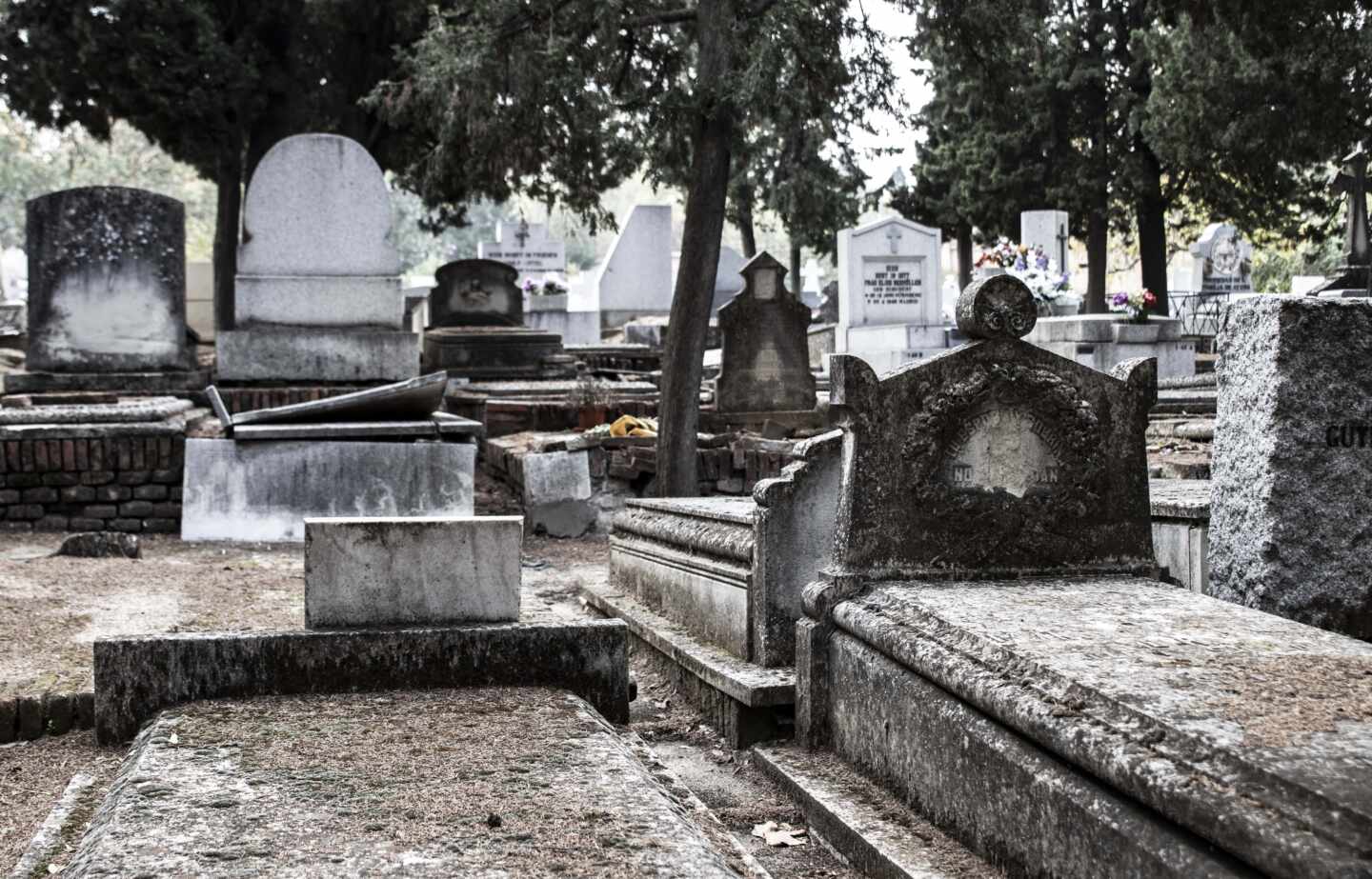 Descubre los secretos del Cementerio de la Florida con Felipe Cortes