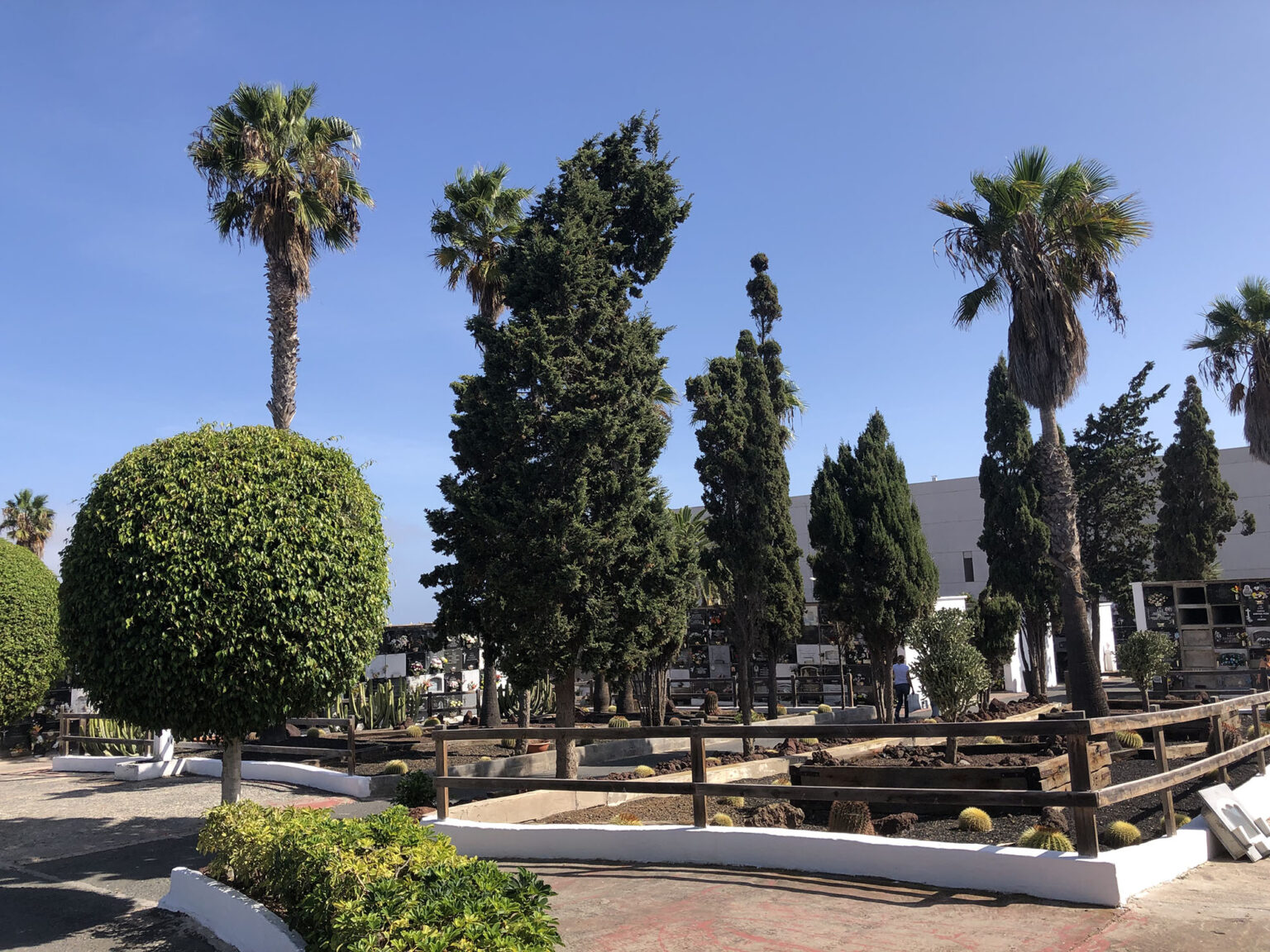 Horario Del Cementerio San L Zaro En Las Palmas Vis Tanos En El